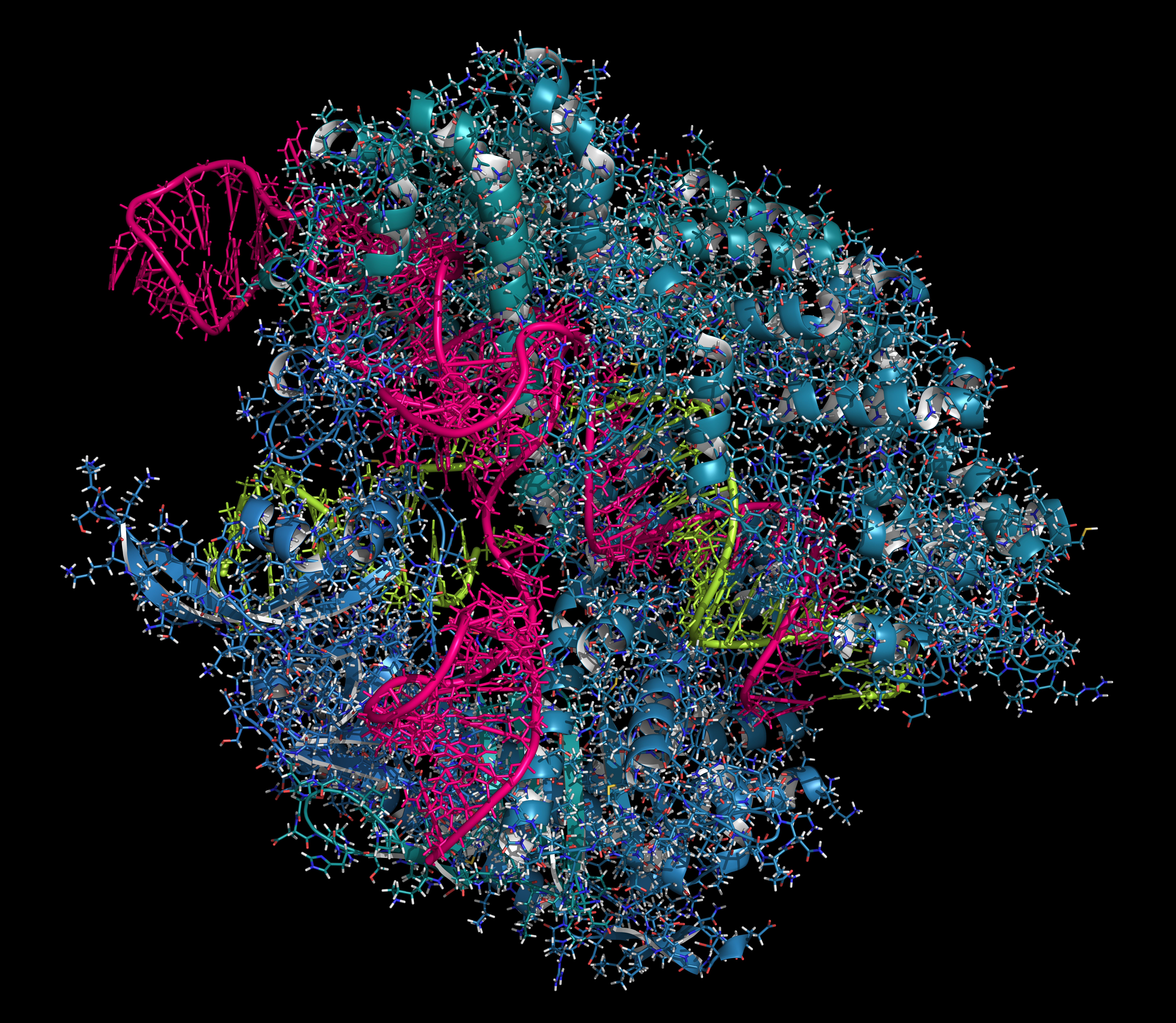 CRISPR-CAS9 gene editing complex from Streptococcus pyogenes.
