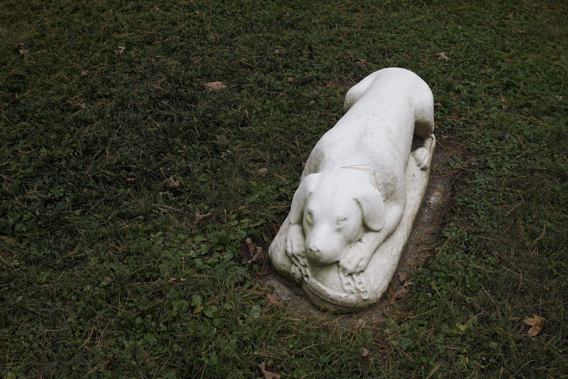 tombstones withdog or hound  in victorian graveyard