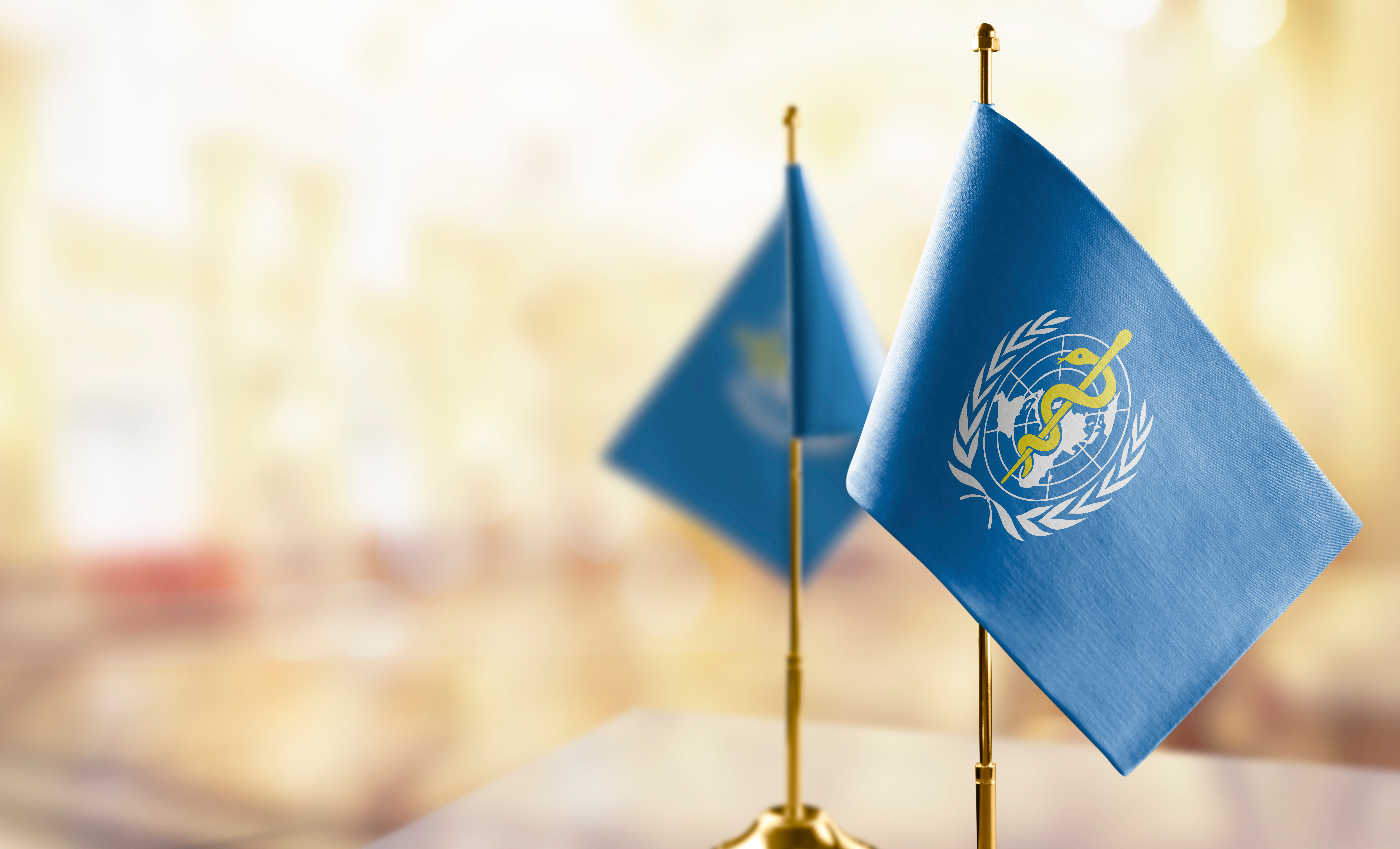Small flags of the World Health Organization WHO on an abstract blurry background