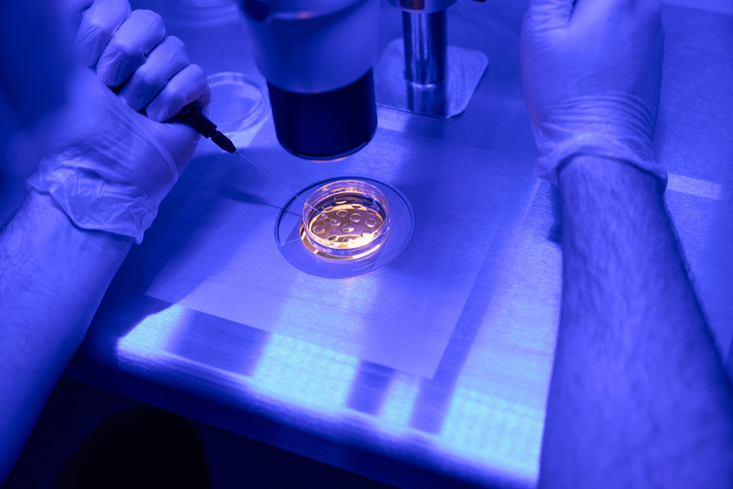 Man embryologist removing one cell from a developing embryo