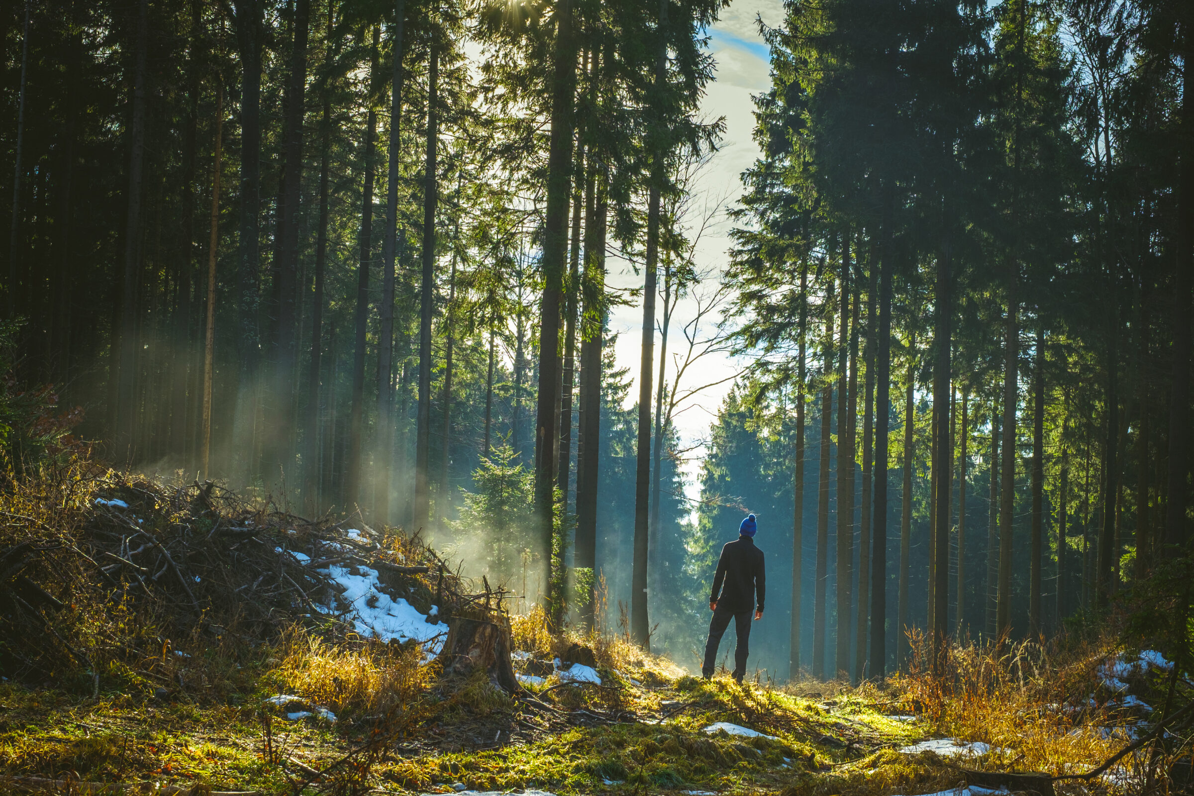Man is enjoying the atmosphere in the forest, peace and silence. Evaportion, sun after rain.
