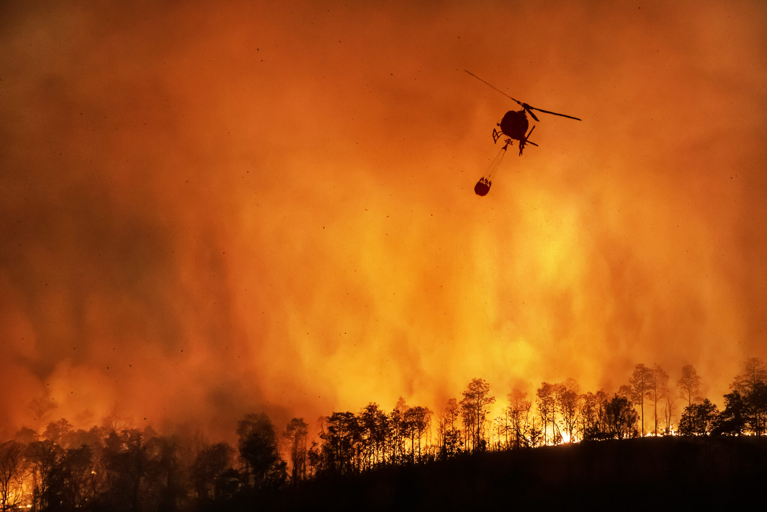 The Lancet: Wildfires the Latest “Health Emergency”
