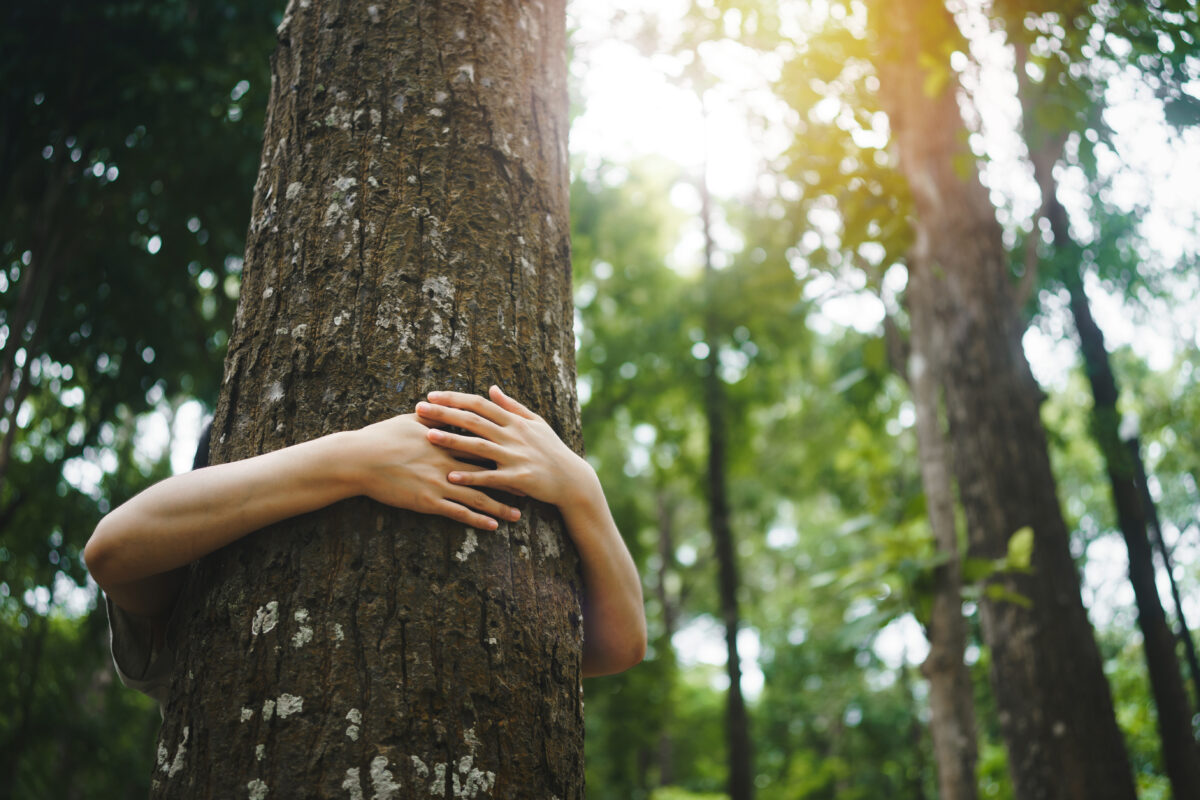 young woman tree hugging in the forest in concept of people love nature and tree to protect from deforestation and pollution or climate change